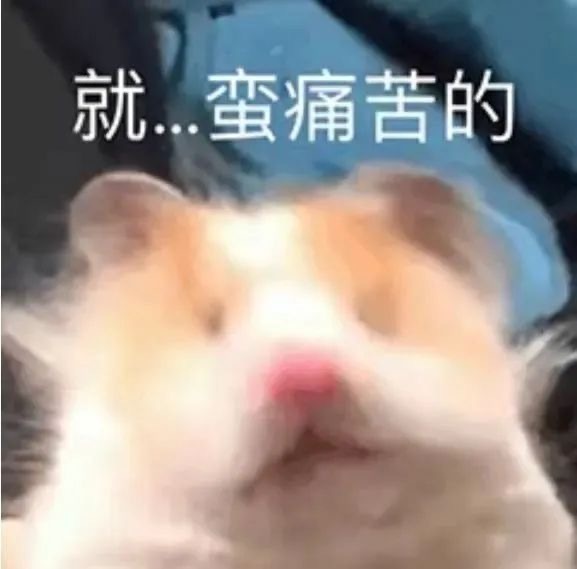 仓鼠的命也是命表情包