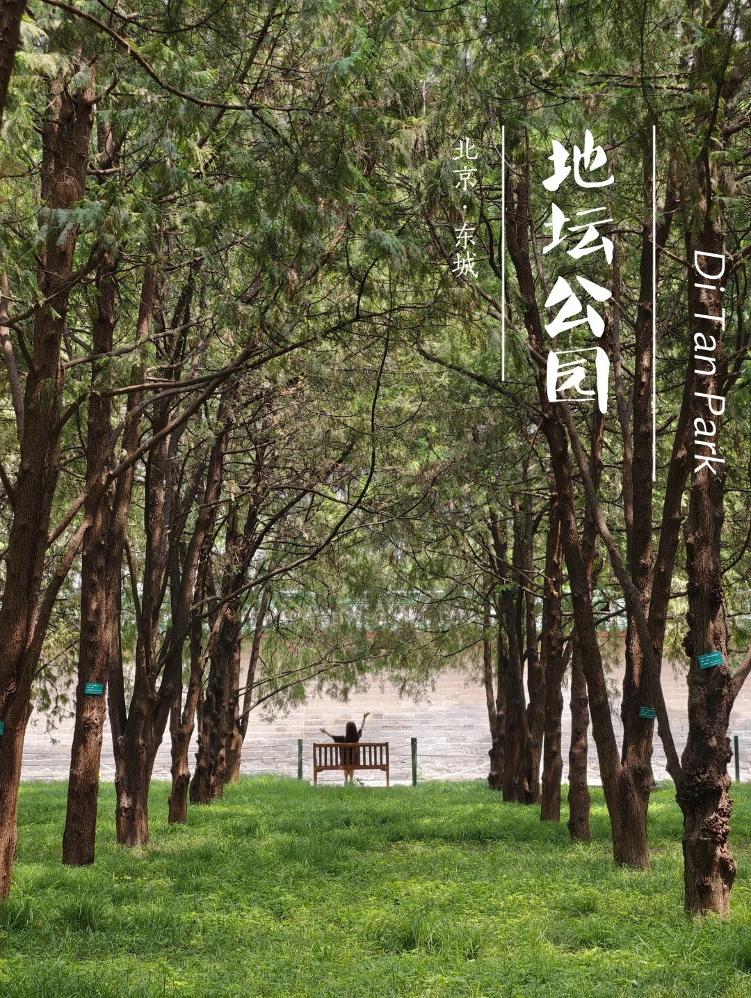 地坛公园｜北京的海，还是那么的权威