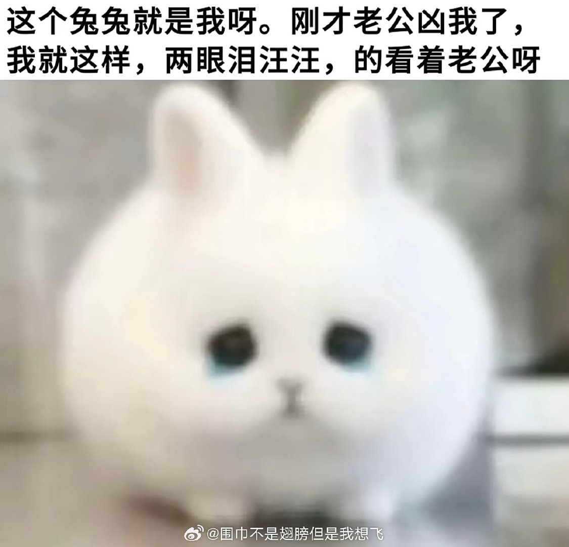 被孙杨肘击的汪顺 ​