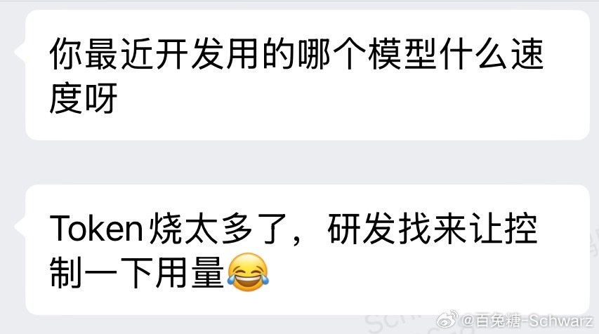 一直在试探我司研发的底线[阴险]
研发说token用不完把5.6 sol借我用还以为真的很大量呢，我跑一个项目才三天他们就hold不住了[泪奔]不过GPT确实太爱做测试了，只能收敛一点边界了 ​