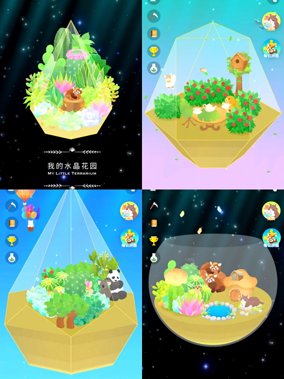 云养多肉|我的治愈减压小世界: 水晶花园