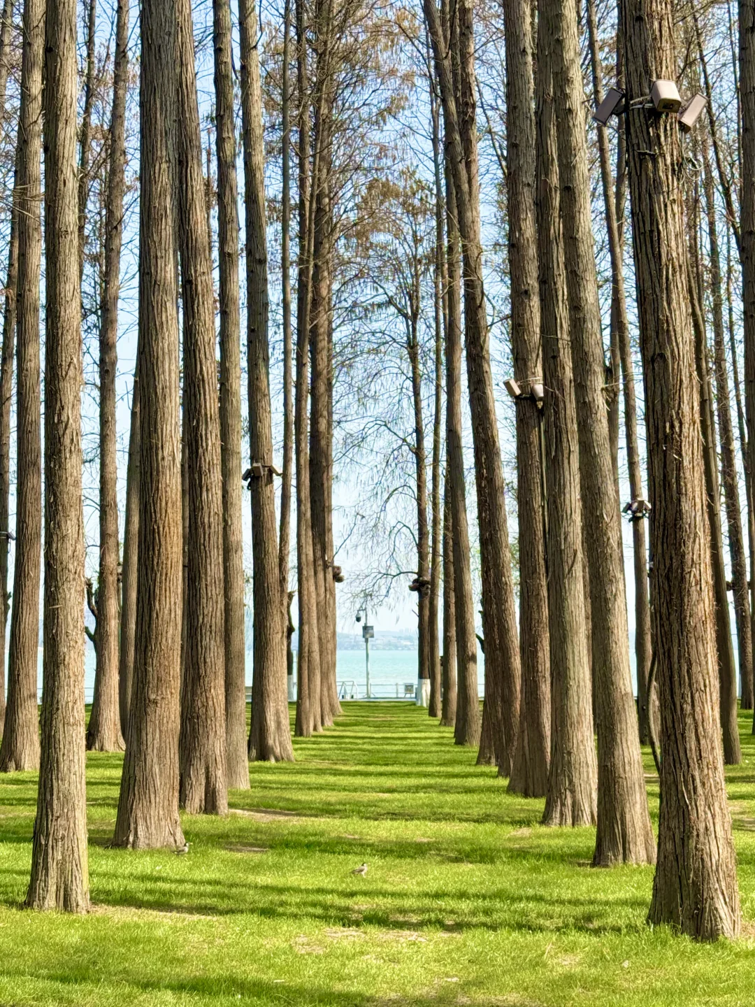 东湖….就是一个巨大的能量场📷