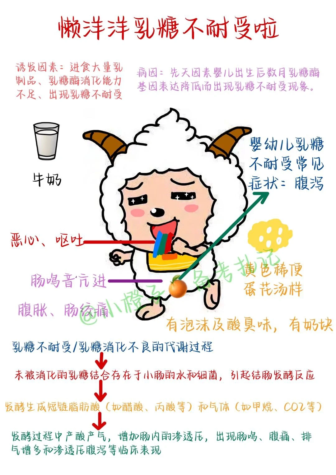 📖护师笔记｜儿科护理学｜乳糖不耐受❌