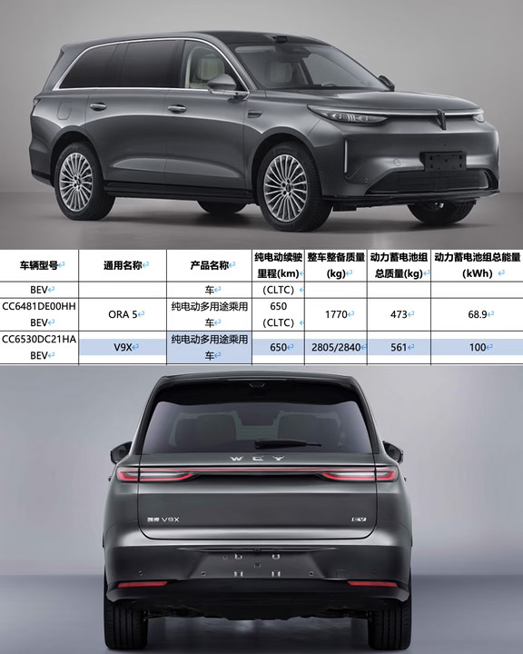 魏牌V9X纯电版｜100度电池，续航650km