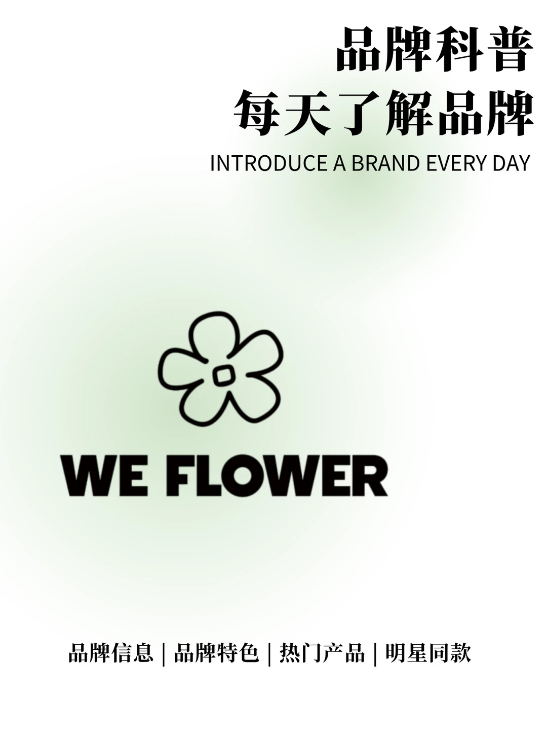 每天了解一个品牌 | WE FLOWER 宝藏鞋