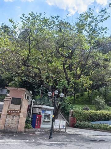 今天才发现这个门是进去越秀公园的，怪不得上次老外问我从这里下去是不是中...