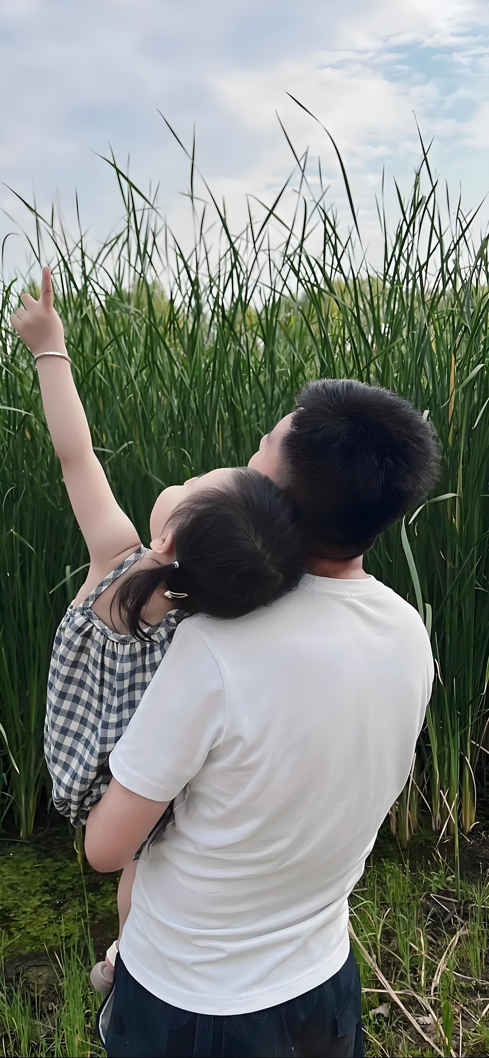 一条让人心里发紧的热搜：男子发现自己养了多年的女儿非亲生，去找前妻对质，前妻的回应却是——&34;我自己也不知情&34;。这句话把整个事件的荒诞感拉到了顶点，也把评论区炸成了两派。

男方的视角很好理解。养了这么多年的孩子，户口本上写着自己的姓，感情上早就当成了生命的全部，突然被一纸鉴定告知没有血缘关系，这种打