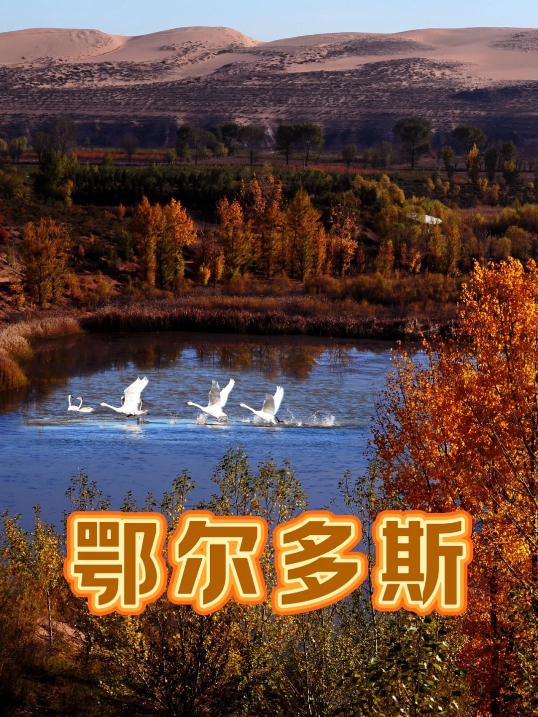 跟着〈暖城〉，重新认识鄂尔多斯 最近在热播的微短剧《暖城》， 把镜头对...