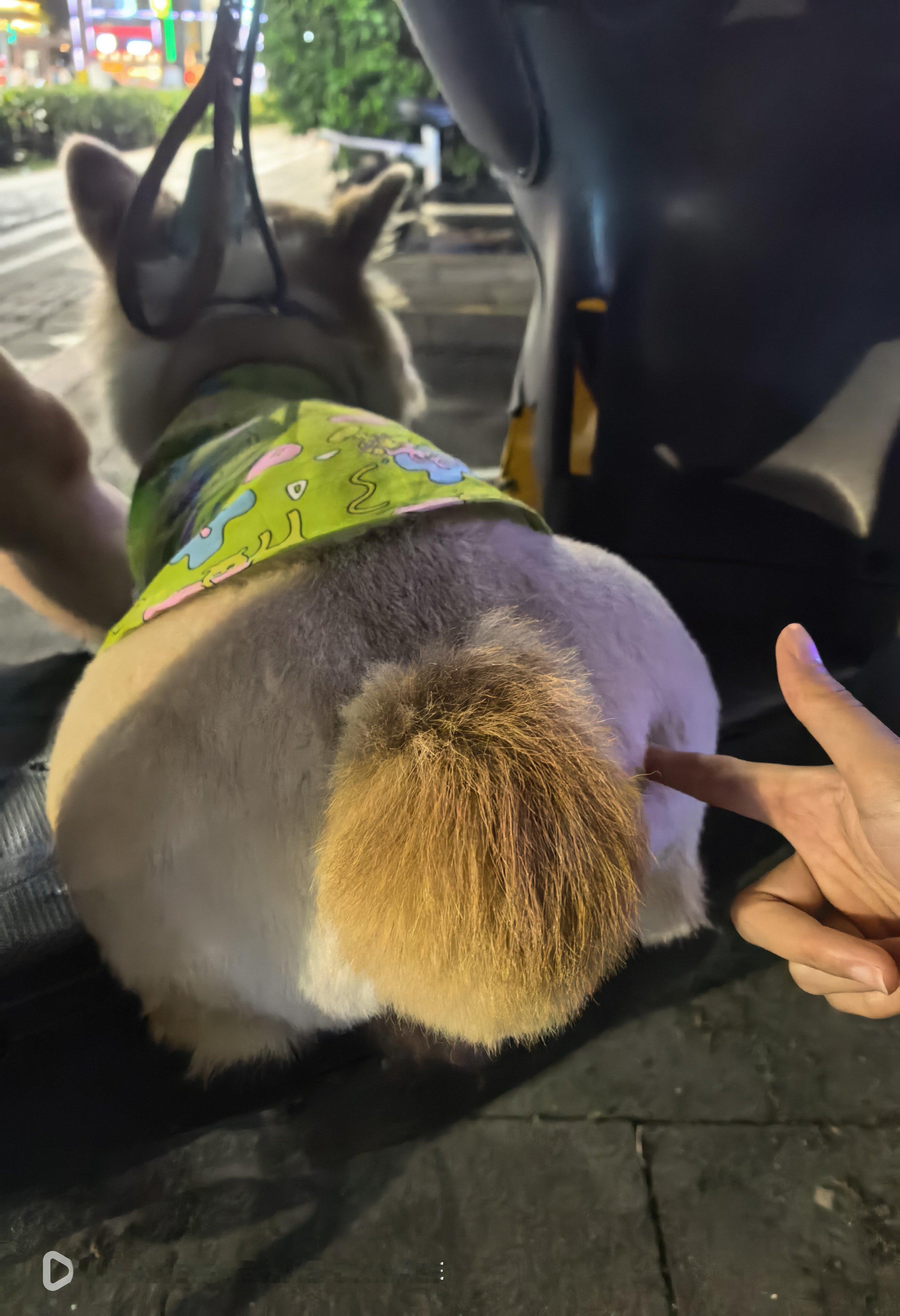就这样拿屁股对着我是嘛？ ​​​