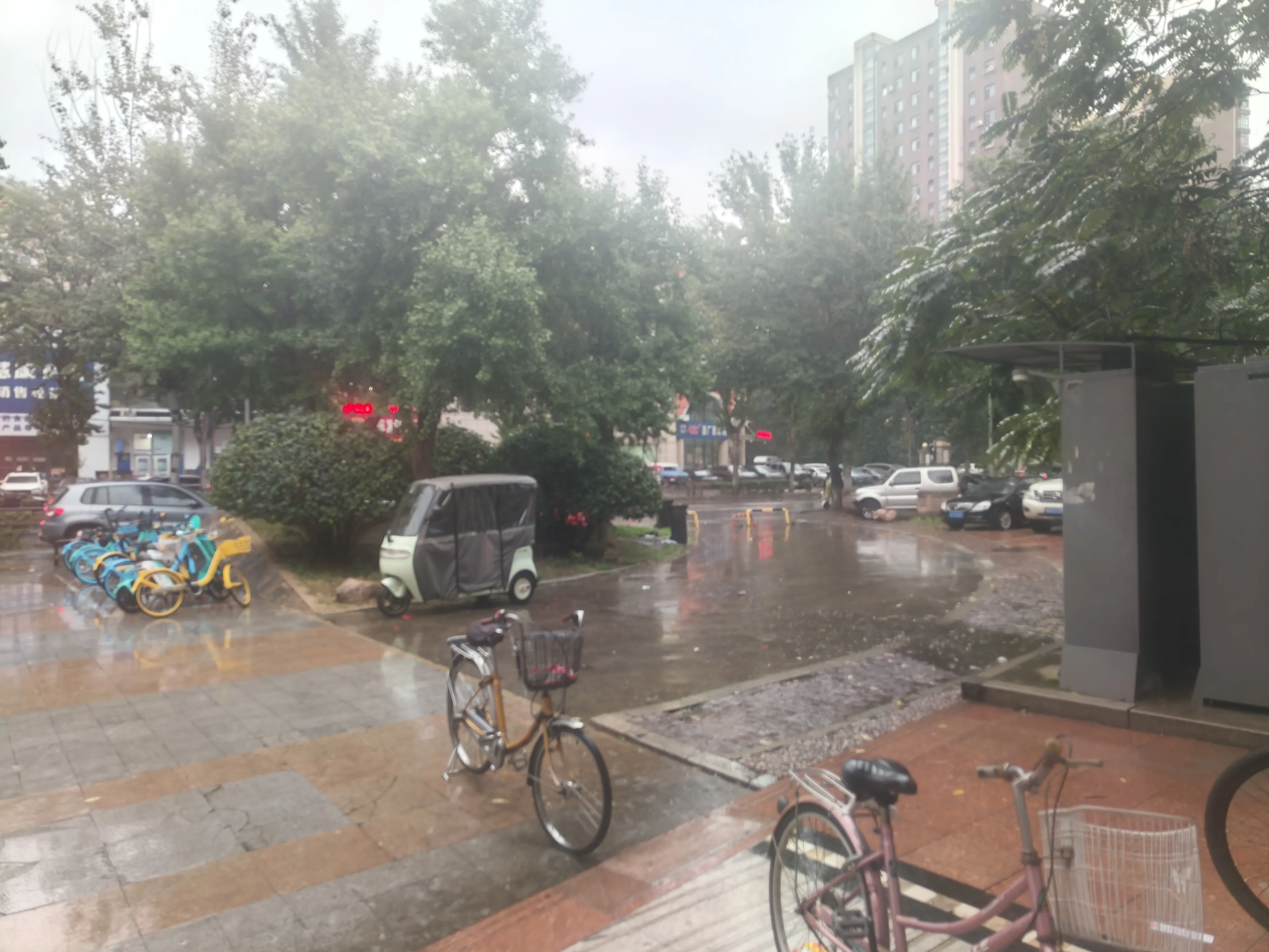 突然下起了瓢泼大雨，现在的天气预报还是很准的。
今天下雨也很好，明天就是长假前的返家大潮了，要是明天这么大的雨，外面的路会堵到什么程度，都不敢去想！