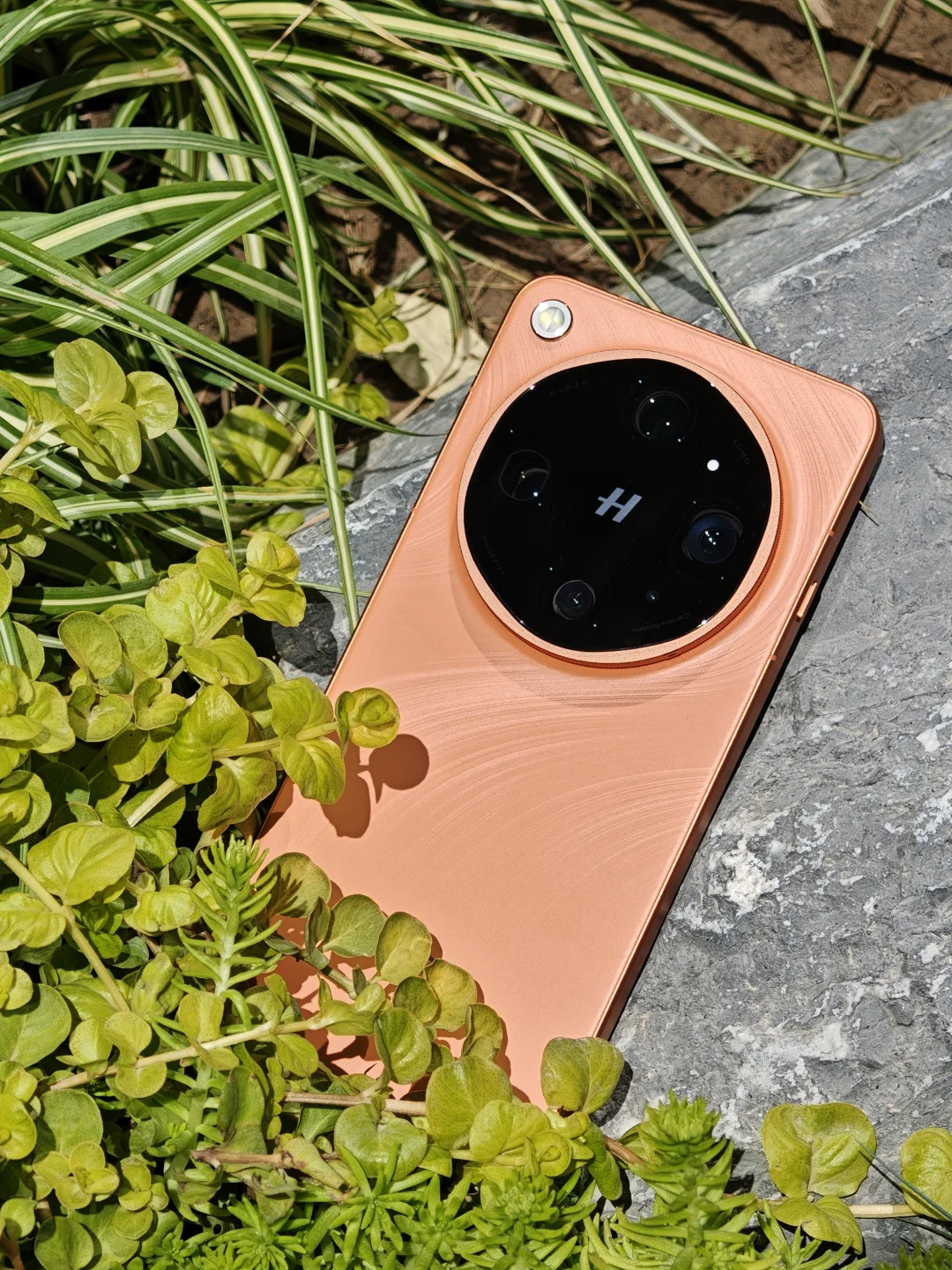 OPPO Find X9 Ultra｜ColorWalk拍照优选✨