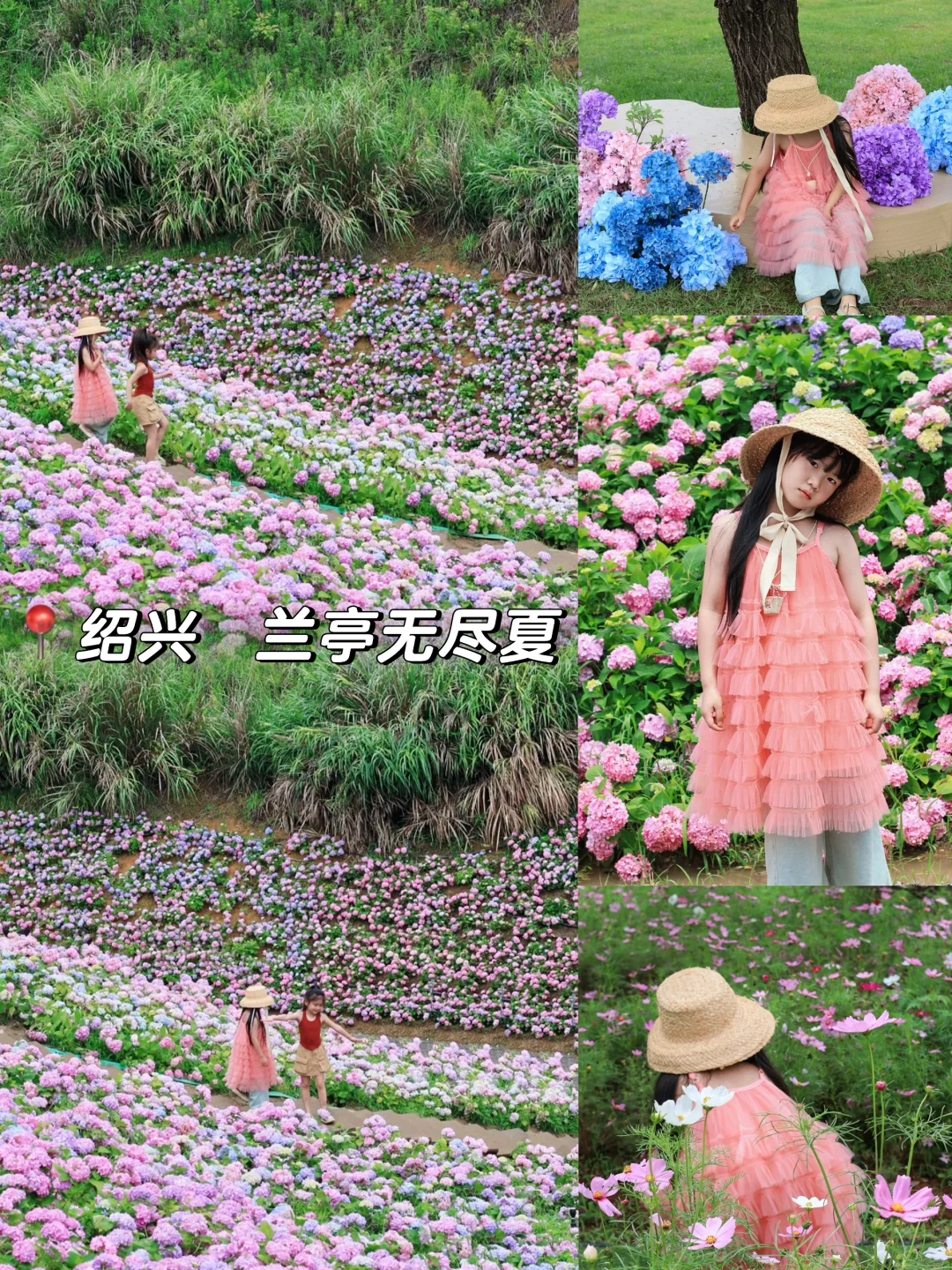 兰亭无尽夏🫧一整座山的绣球花（附打卡攻略）