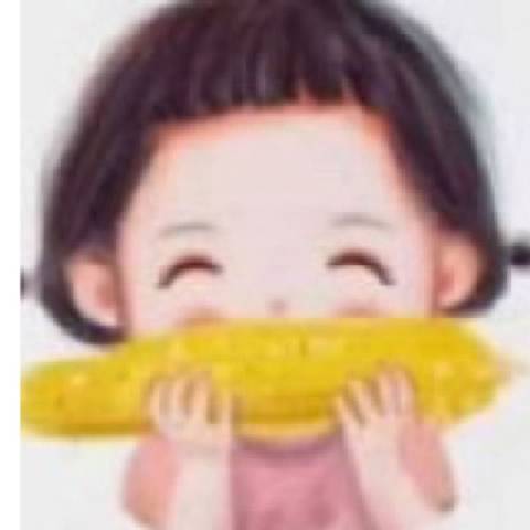 小祖综