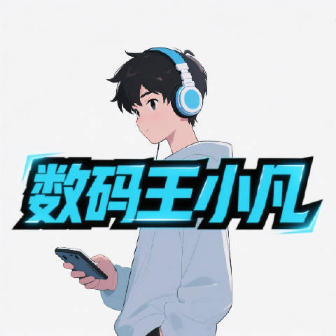 数码王小凡
