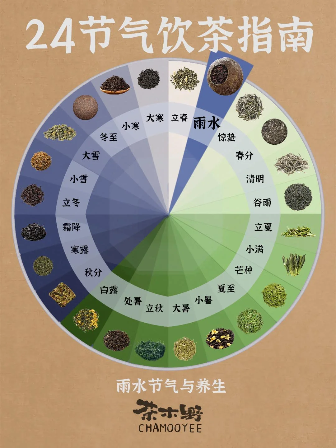 茶与养生丨24节气喝茶指南，雨水喝对茶！