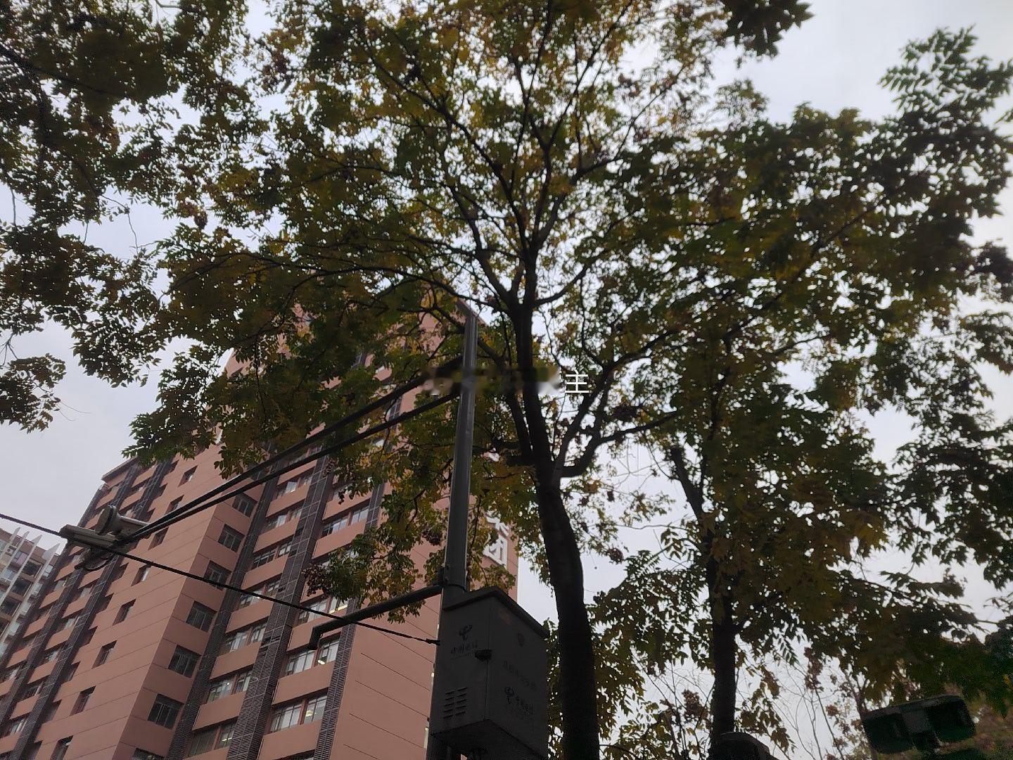 有一位网友发帖子说，“一山不容二虎”，中美两个超级大国早晚要决出胜负！他估计15到20年内，中美之中有一个大国会遭遇羞辱性的崩溃。然后另一个大国将建立新秩序。。。。。。。
——我个人对这个观点还是蛮赞同的。鉴于如今美国深陷中东战争难以自拔。他们的战略家们势必会反思，假如美国和以色列的 ​
