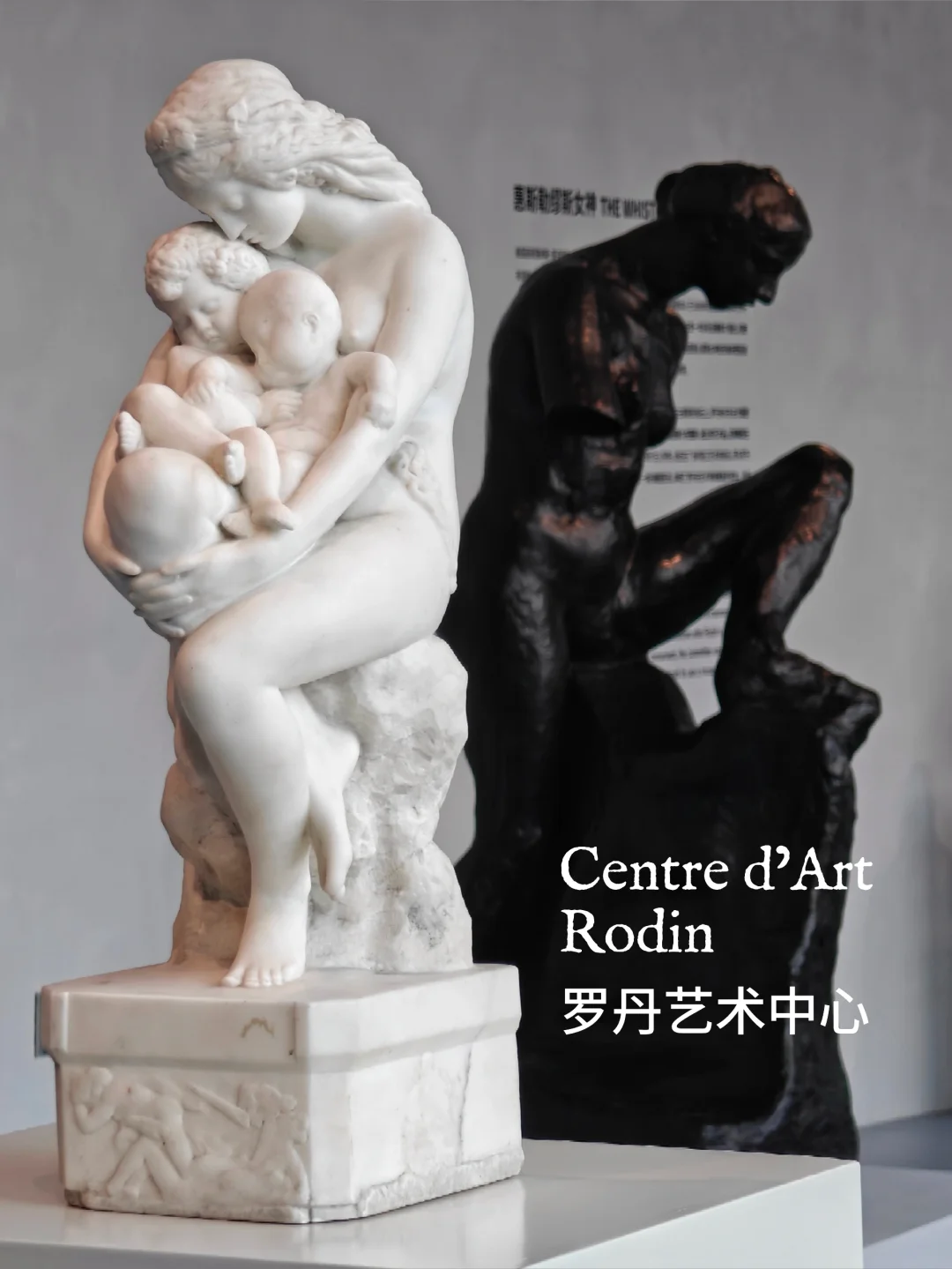 错过拍大腿！💰38，解锁罗丹艺术中心(下)