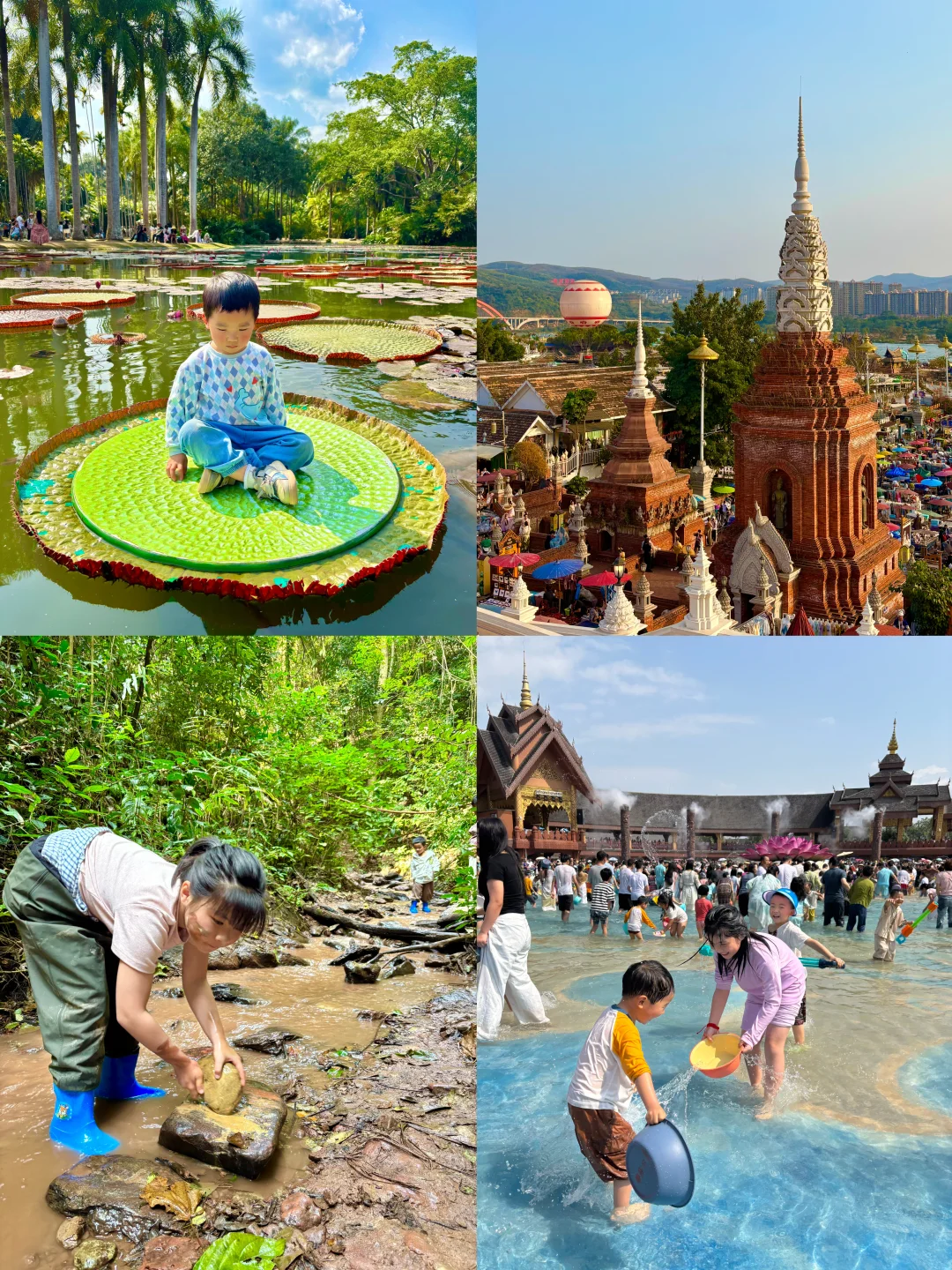 去西双版纳过冬天，一家老小错峰游不做特种