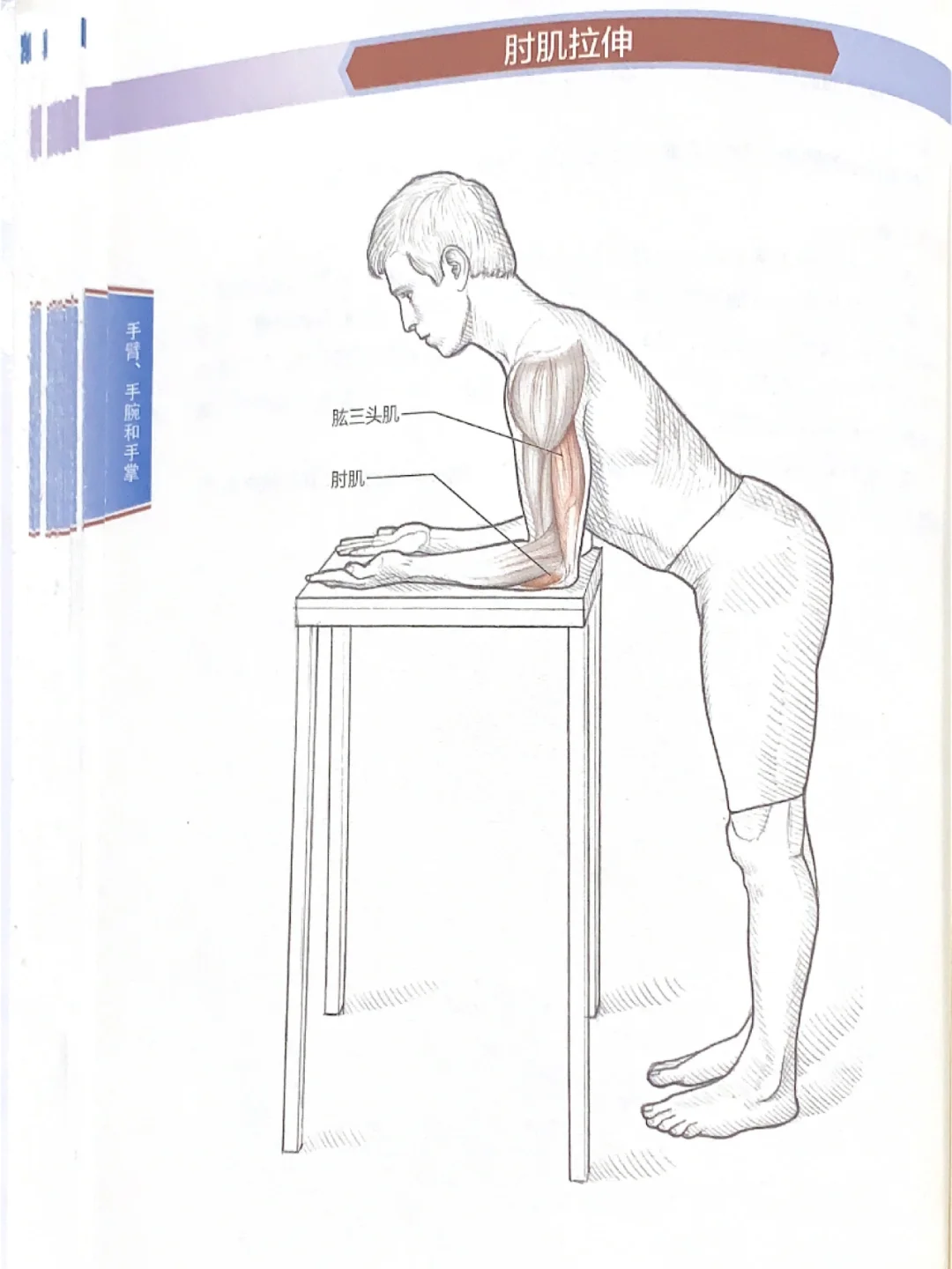 告别粗手臂💪拉伸运动训练