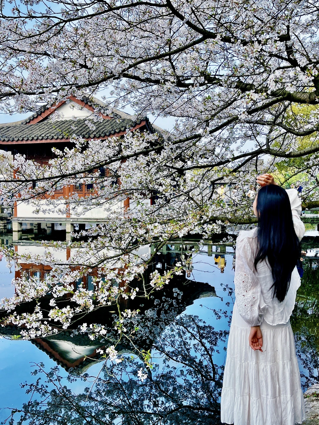 live图🌸接下来的杭州是万万次的春和景明
