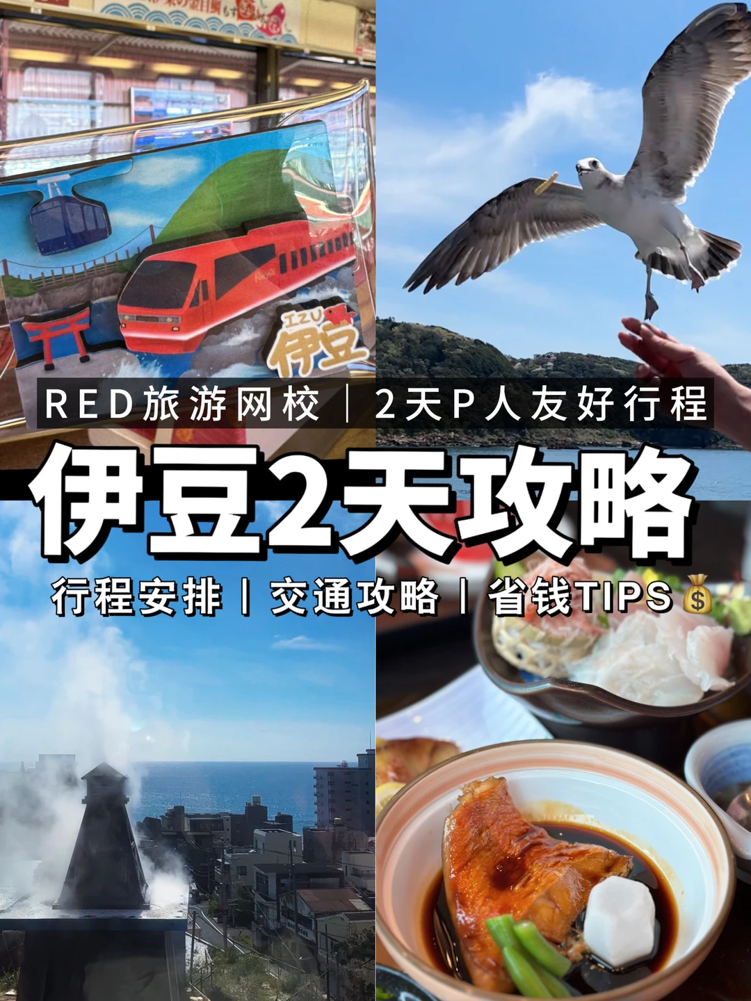RED旅游网校｜伊豆2天P人版省钱随心玩法📝