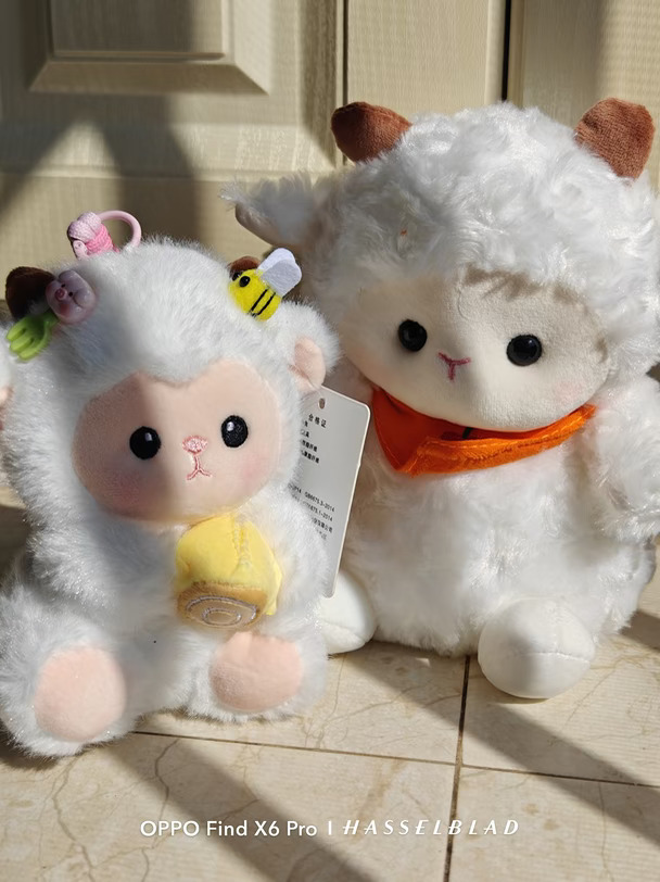 阳光里的小羊搭子🐑