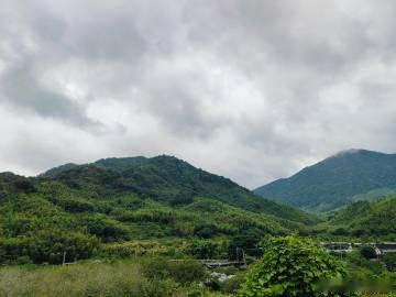 端午假期，去从化溪头村清凉一下。我们到的早，村里饭店才开始生火烧鸡。路...