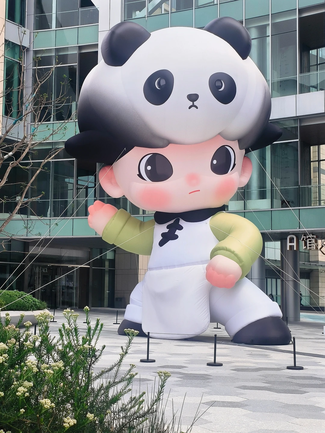 我宣布！我找到了与Dimoo面对面最佳机位！