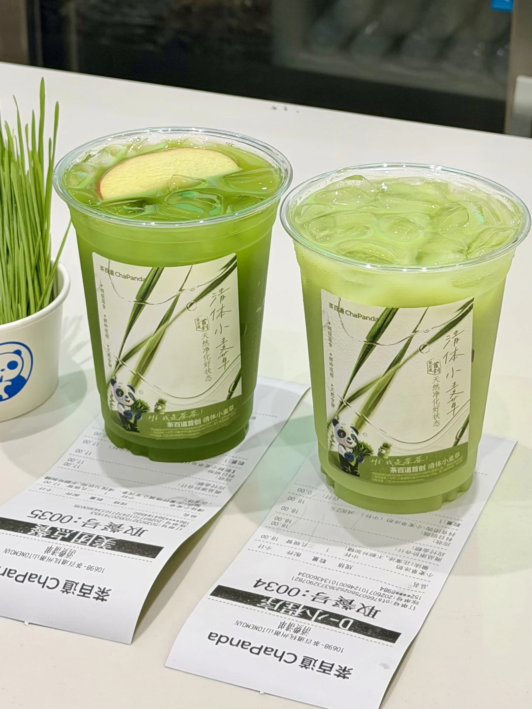 被茶百道种草了…小麦草的神！！