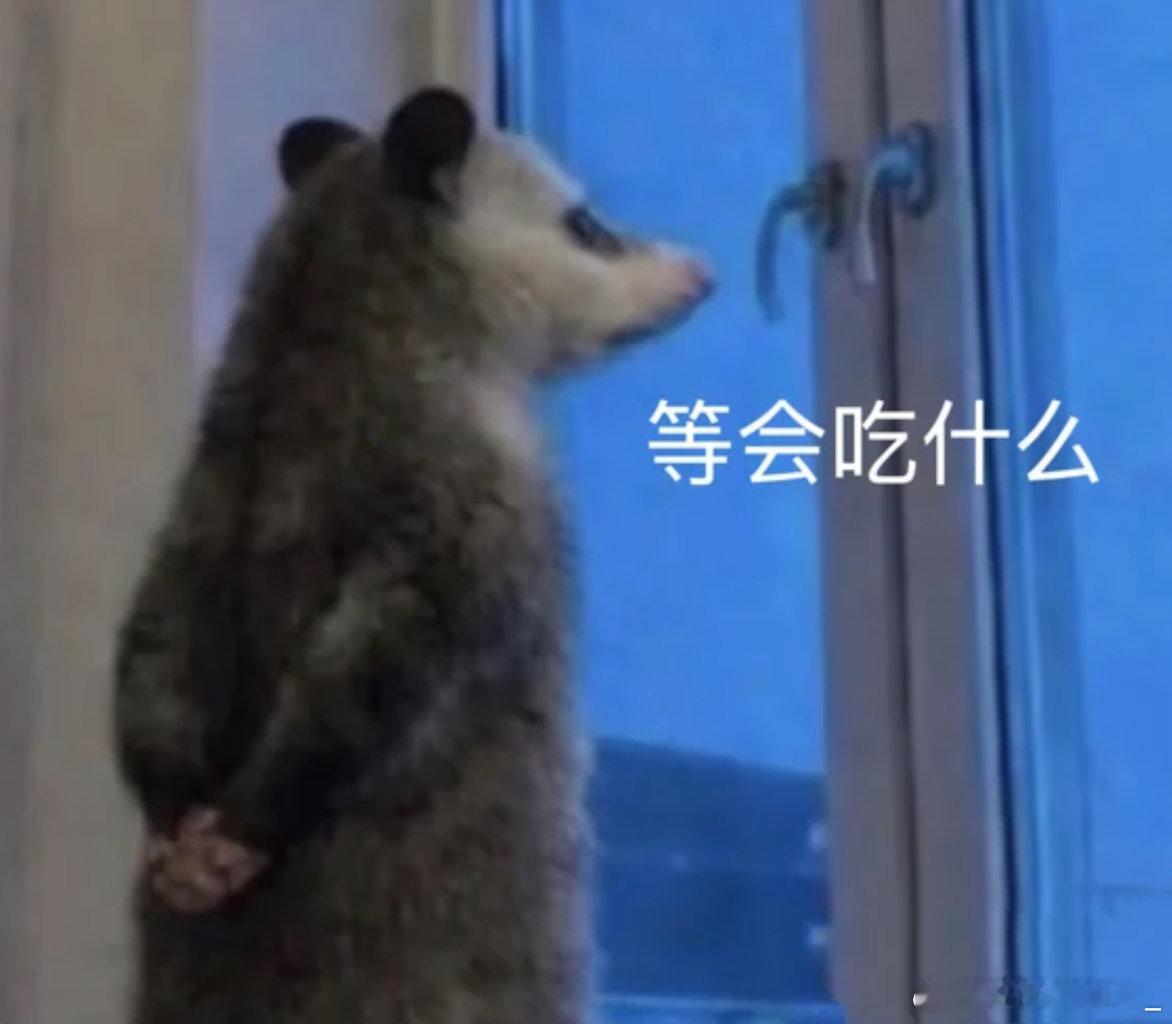 #突然发现大家的吃商到了极致#慢慢摸索学校周边美食，一个个打卡太费钱， 低价尝遍各类店铺，轻松找到自己的本命外卖。#好饭迎开学大牌天天享##美团拼好饭# ​