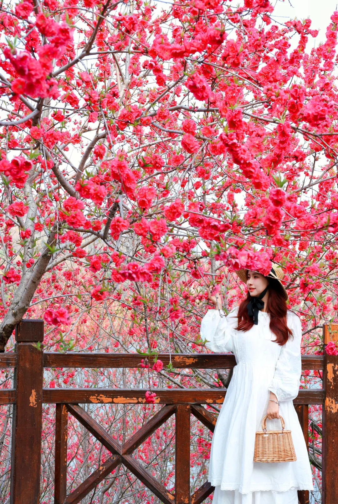 决定公开⚠️武汉这个无人梅花山谷🌸开爆啦‼️