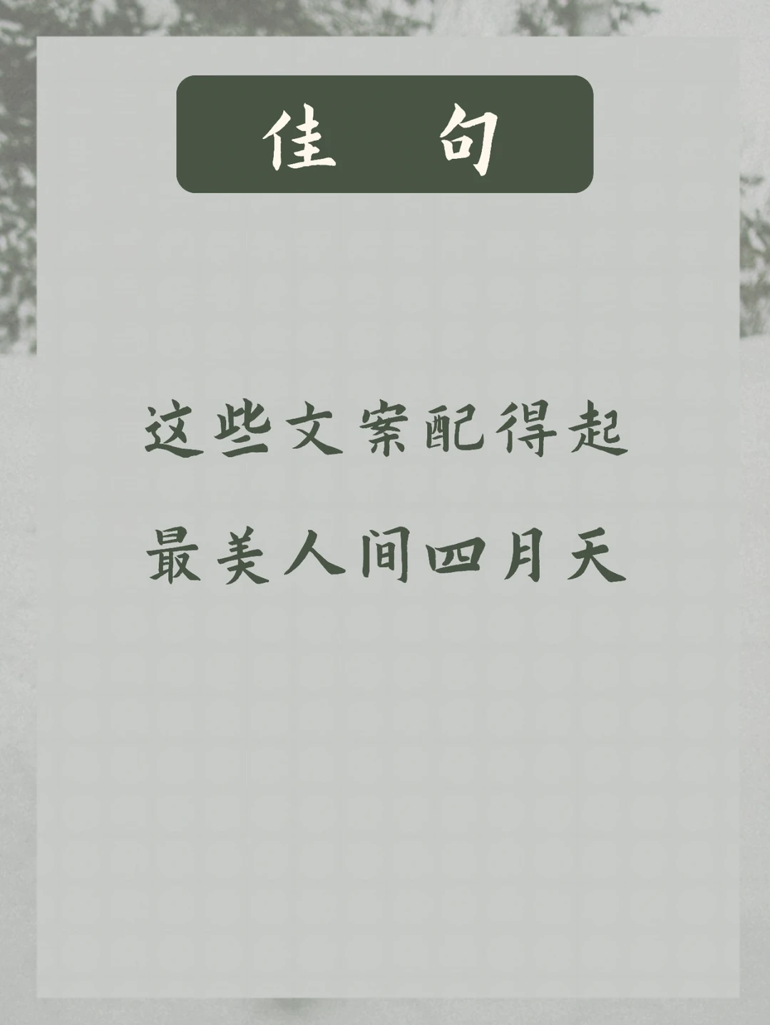 人间四月天 | 所有美好与你环环相扣