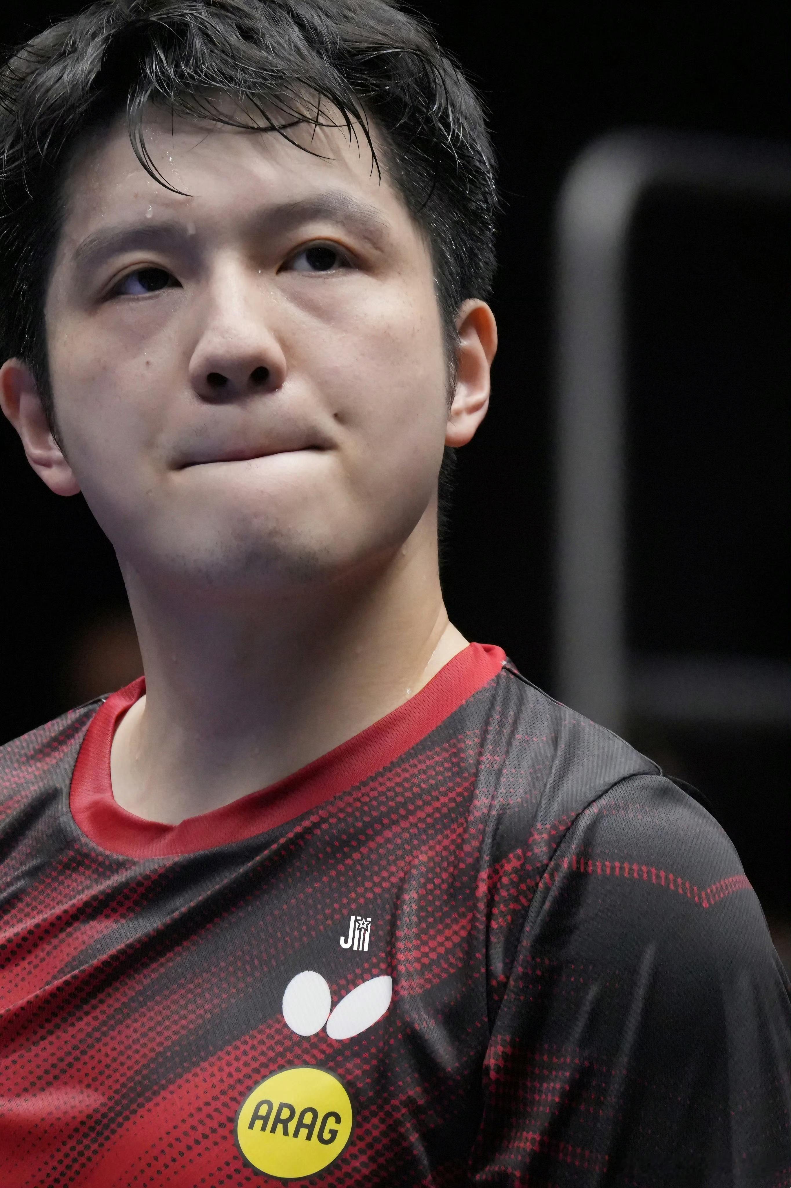#樊振东德甲输掉的全都赢回来了#
东哥曾说欣赏David黎子安，说把热爱做成职业、在自己的领域里做自己，何其难得。
其实东哥自己，一直都在这样践行。
去年德甲开局两场失利，他沉下心复盘调整，扛过重重非议与重压，带领萨尔布吕肯拿下三冠王。时隔一年再遇老对手，两个干脆的3‑0，堂堂正正把曾经输掉 ​