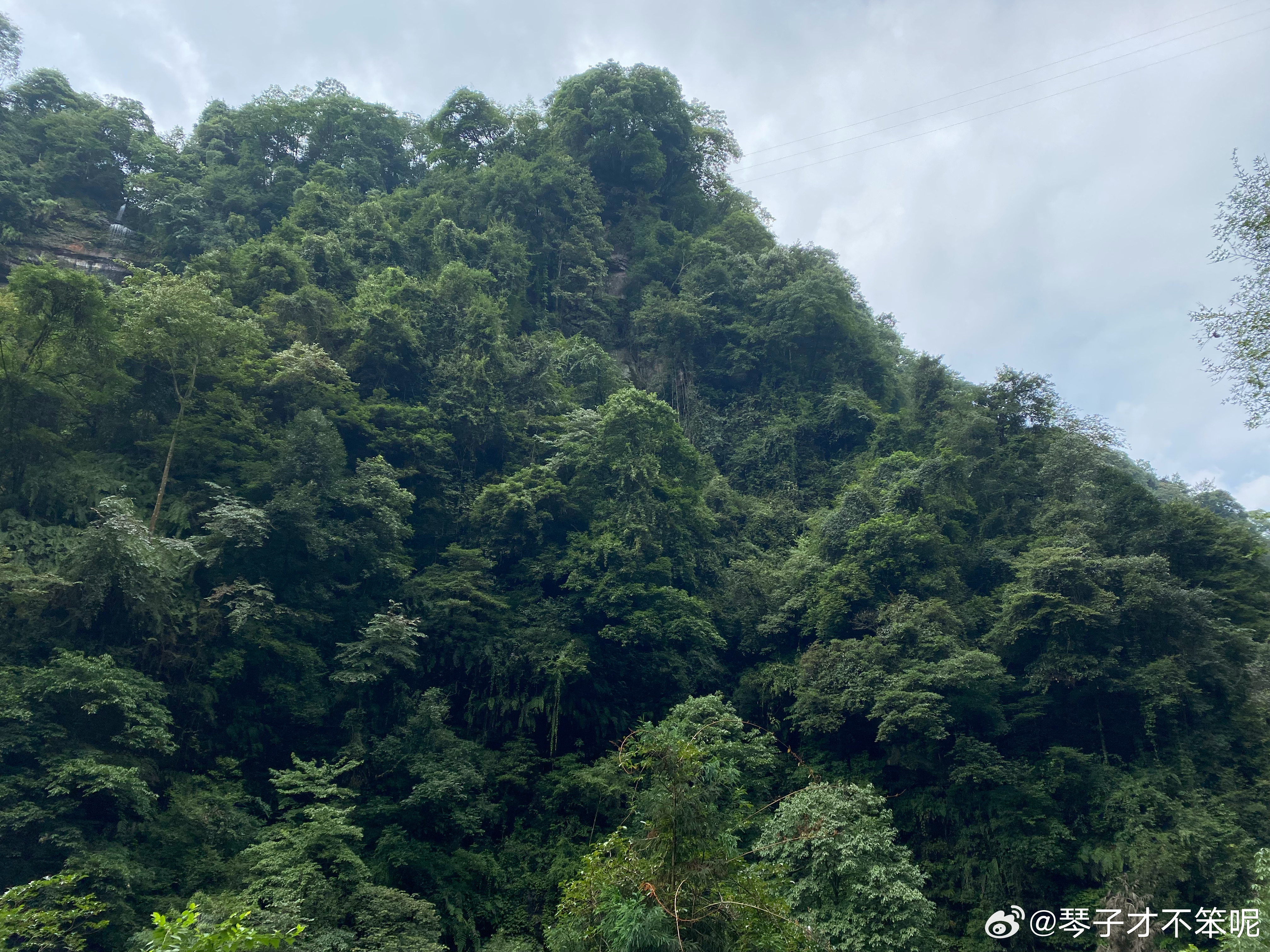 不必惧怕盛夏燥热，心中有清风，处处皆清凉。 ​​​