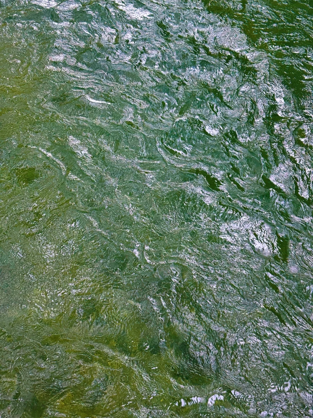 🍃🍃🍃喜木喜水杭州你就来吧！