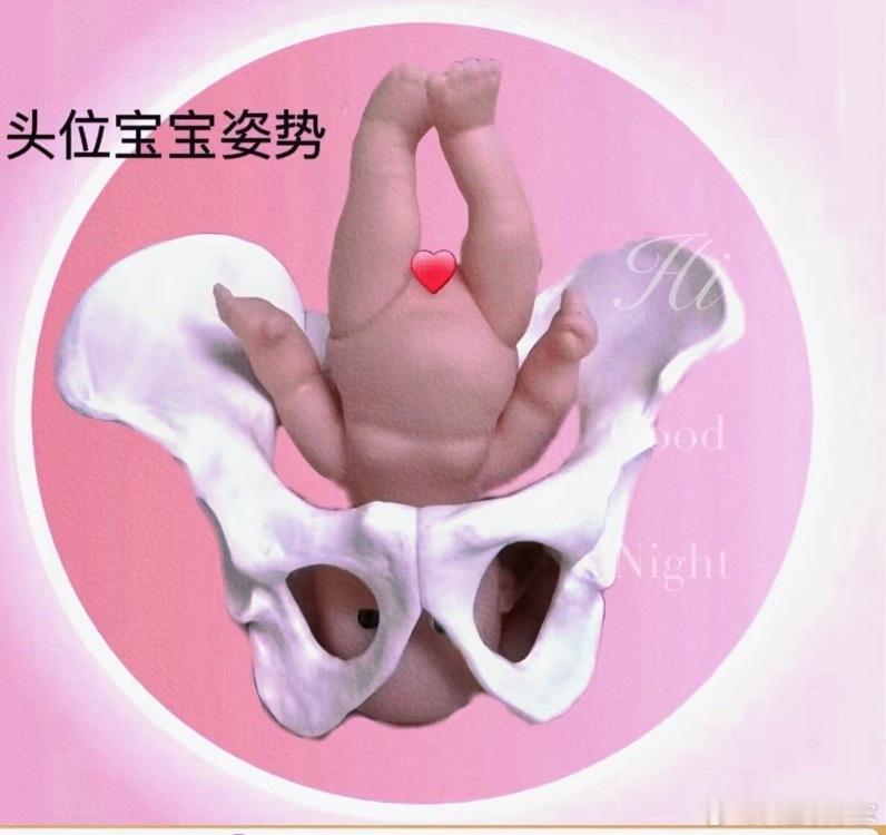 晚上刷朋友圈看到大美新疆、呼市、伊犁…
忍不住和老公掉小珍珠说想出去玩
小凯说生完明年就出去
回想这一年实在是太漫长了
从2月情人节知道怀孕直到现在
断崖式的失去了一整年的自由
终于还有不到一个月就要解放了
都说临生产的妈妈都会很舍不得
一个身体两个心脏的日子
可是我只想要快点行动自如
天 ​