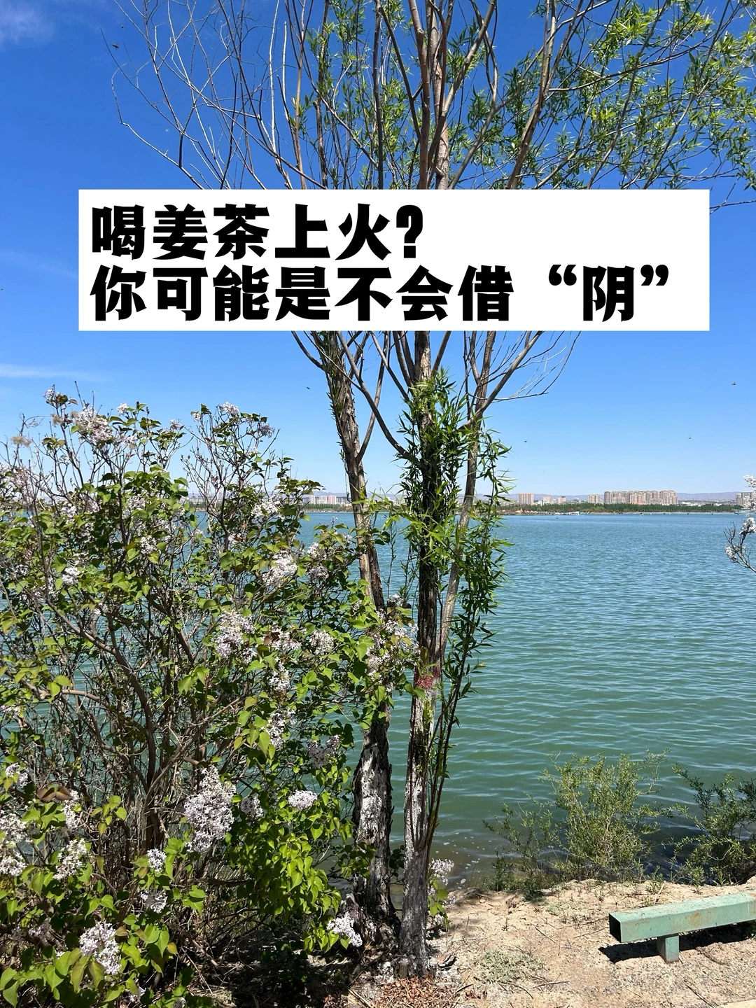 喝姜茶上火？你可能是不会借“阴”