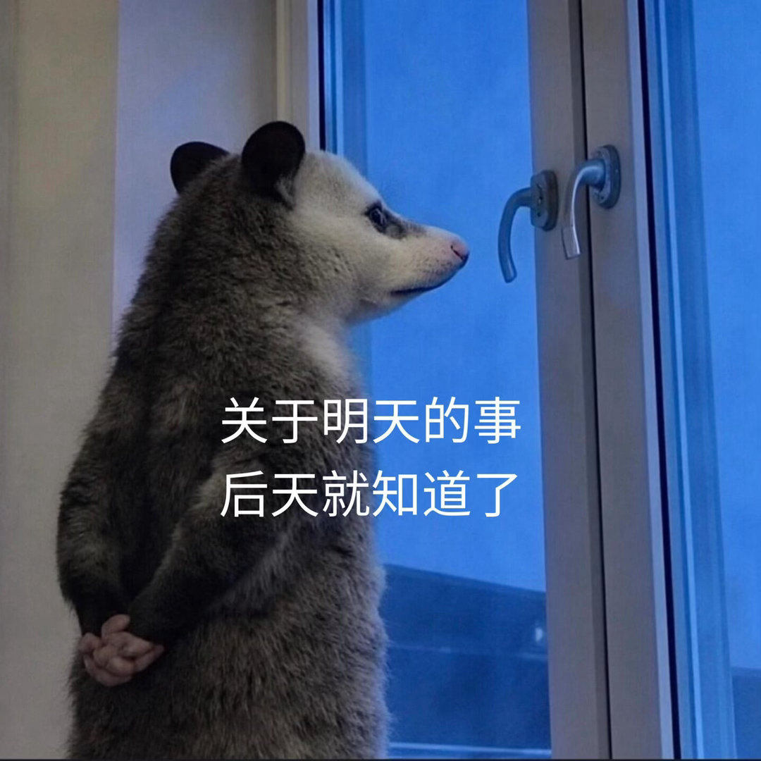 负鼠表情包完美的演我每日的精神状态