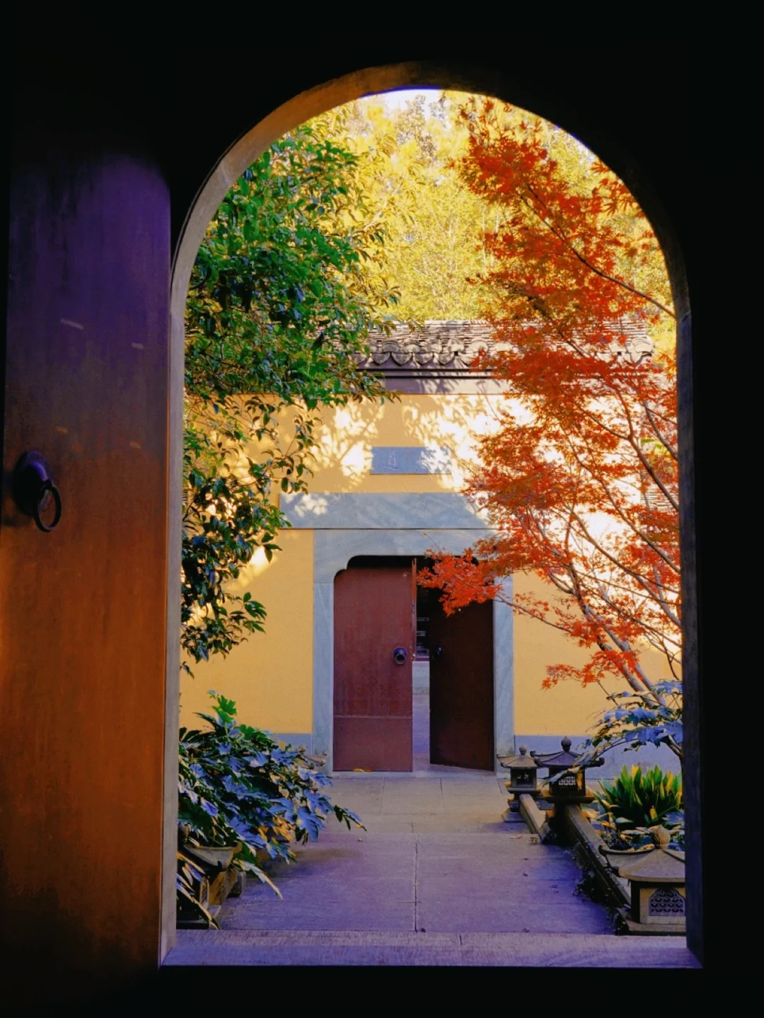 杭州红枫正当时｜西湖边最安静的宋风寺庙