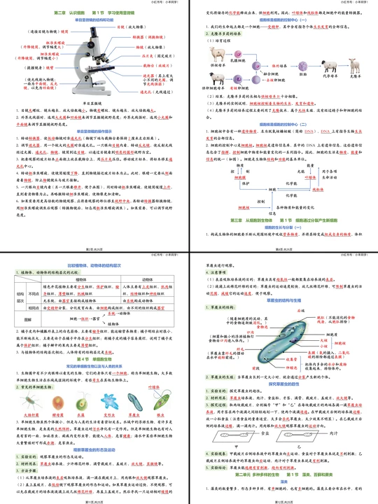 🧬七上生物救星！背完直接逆袭年级前10！
