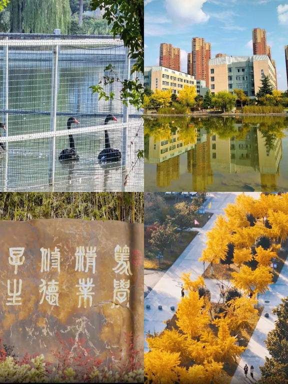 27考研｜蚌埠医科大学研究生就读体验来啦