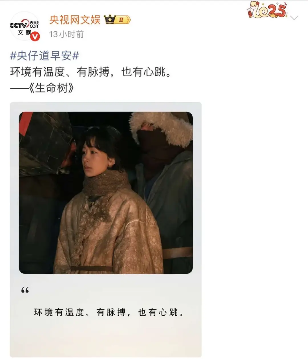 央妈熬夜打call《生命树》！杨紫演技好好！