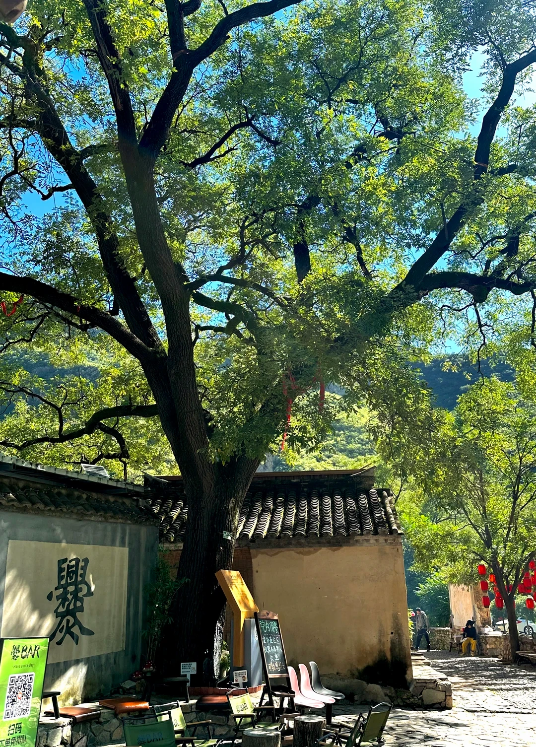不想远行、不想宅家！北京周末短途游天花板找到了🙌
周六/周日连发｜京西宝藏一日