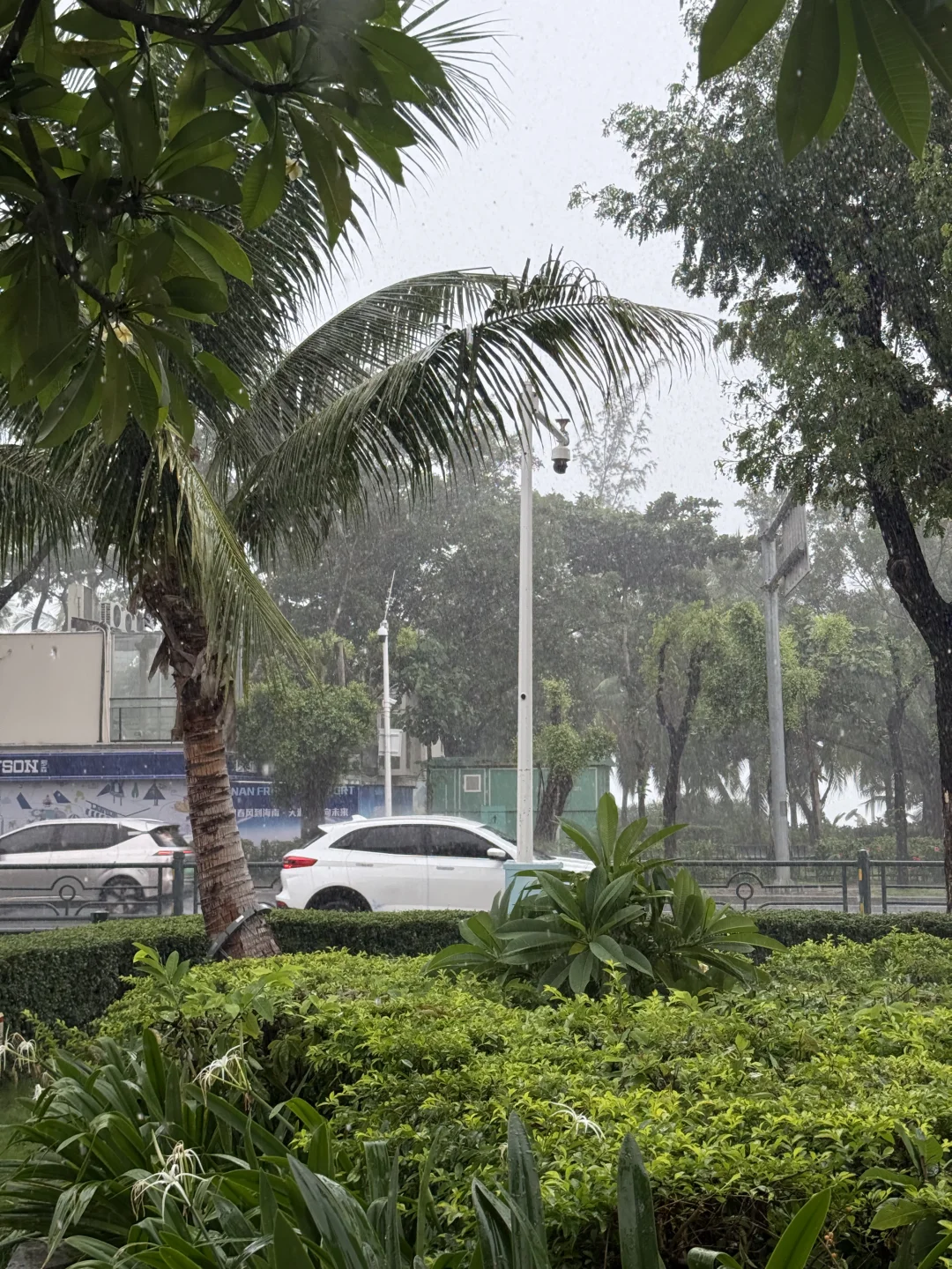 9.13三亚实况！！！好大的雨啊….
