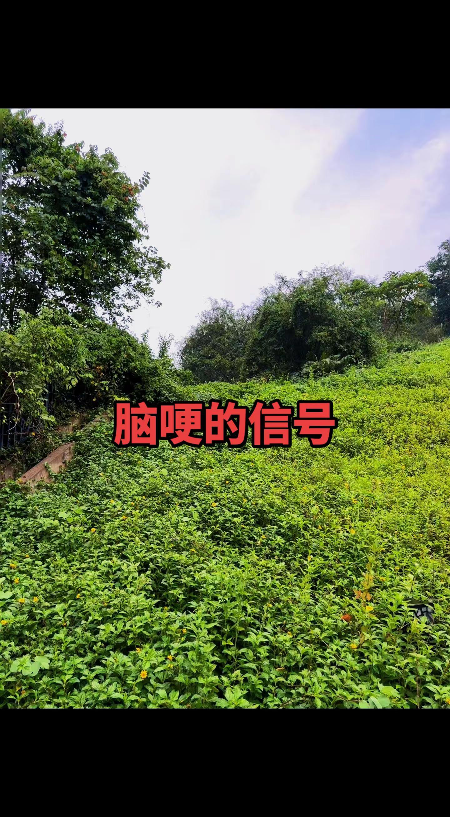 一剑破局！国乒男团3:0完胜日本，续写世乒赛12连冠传奇乒乓球 国乒 伦敦世乒赛 梁靖崑