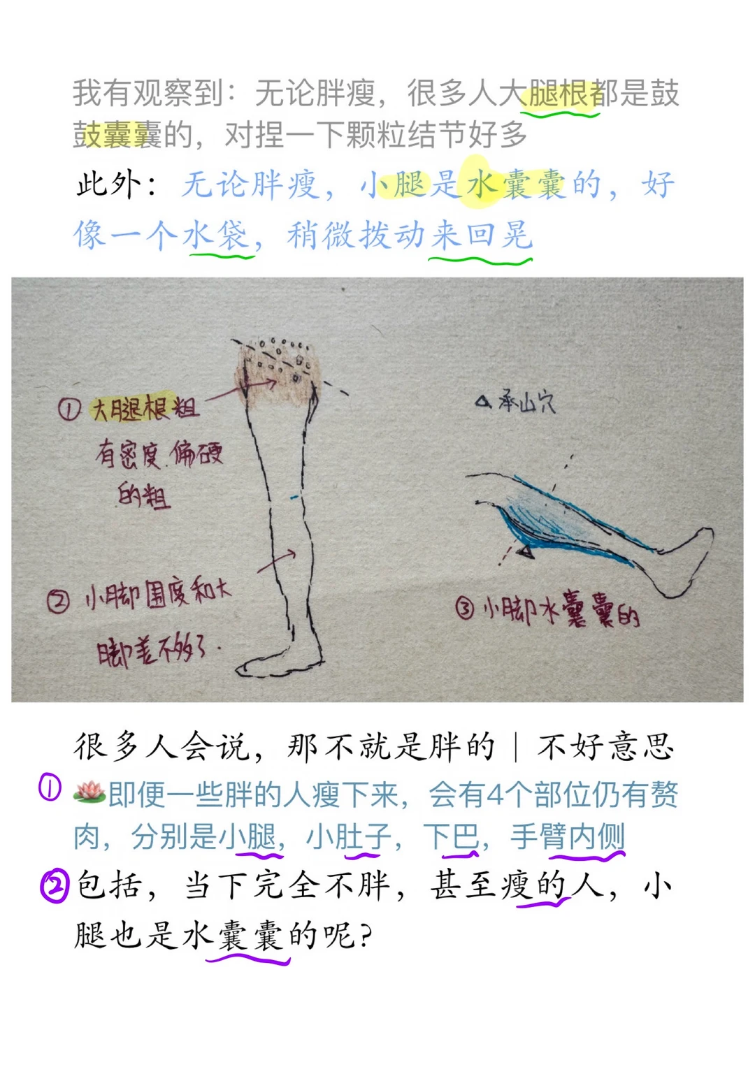 小腿粗：根源是脾胃太寒+心气血不足（附解法