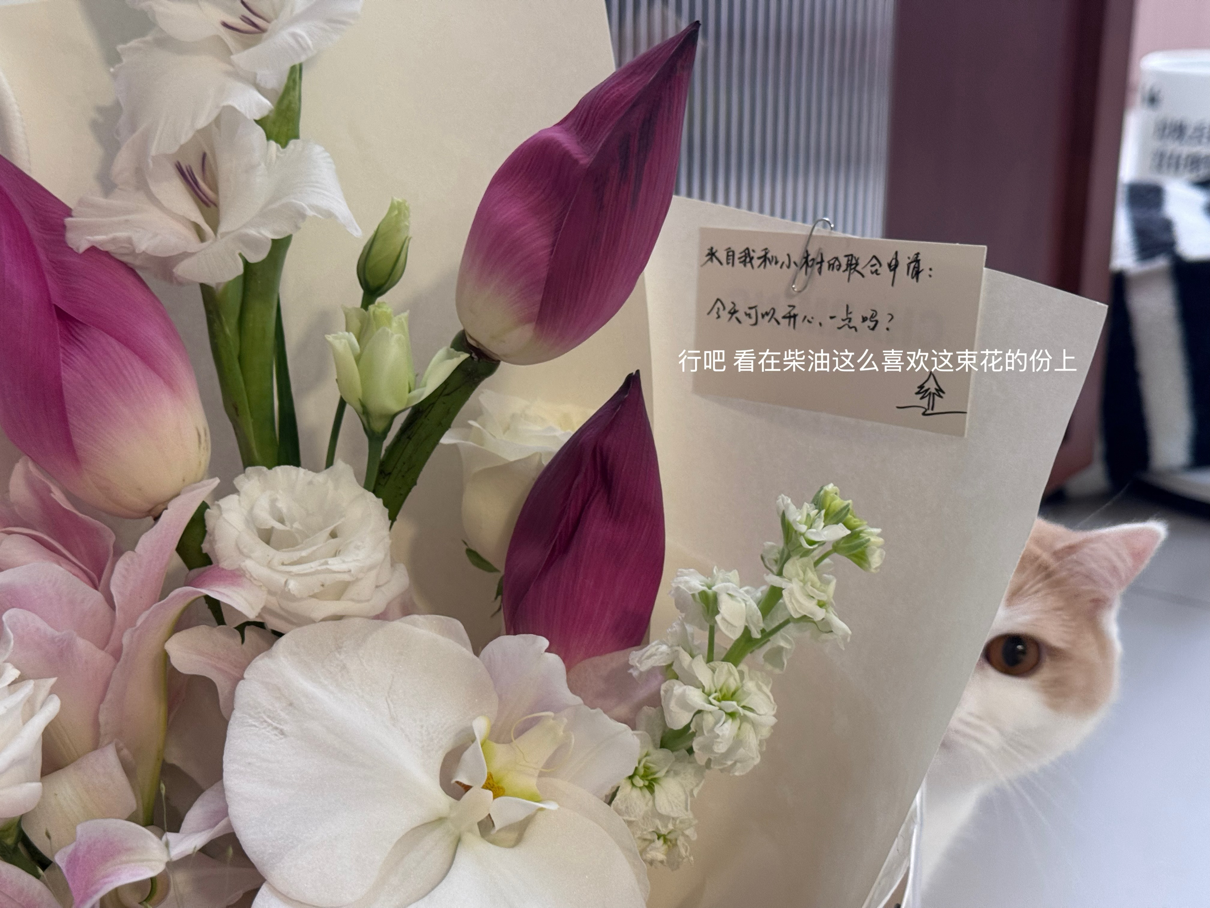 生活需要常常翻新 ​