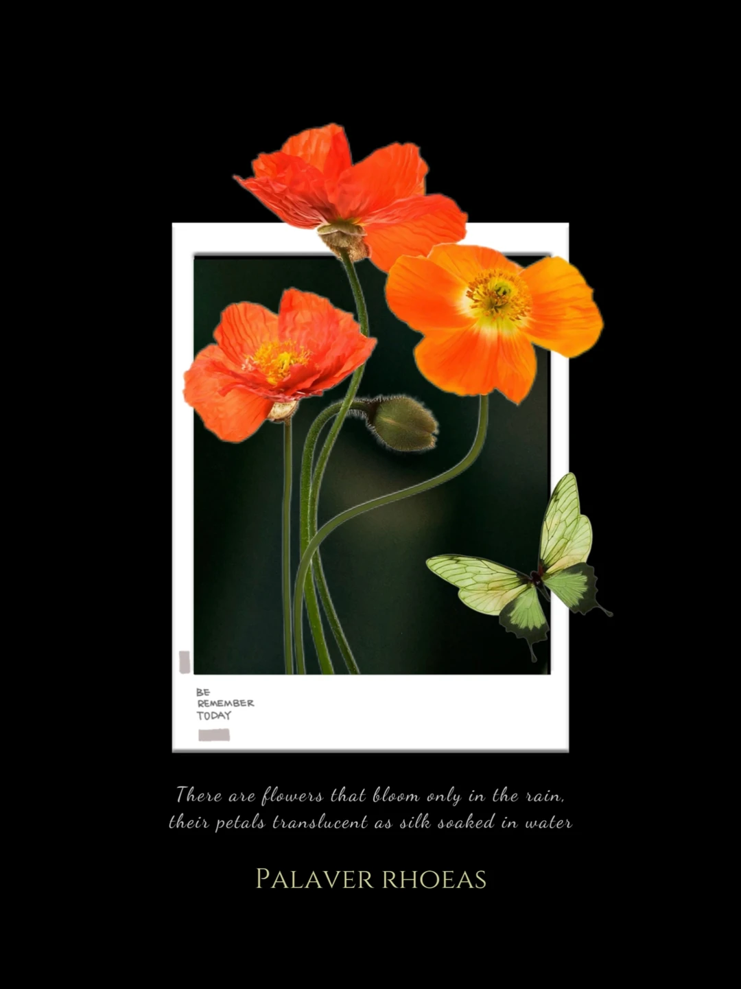 ✅一种很新的拍立得出片方法📷有手就会👌