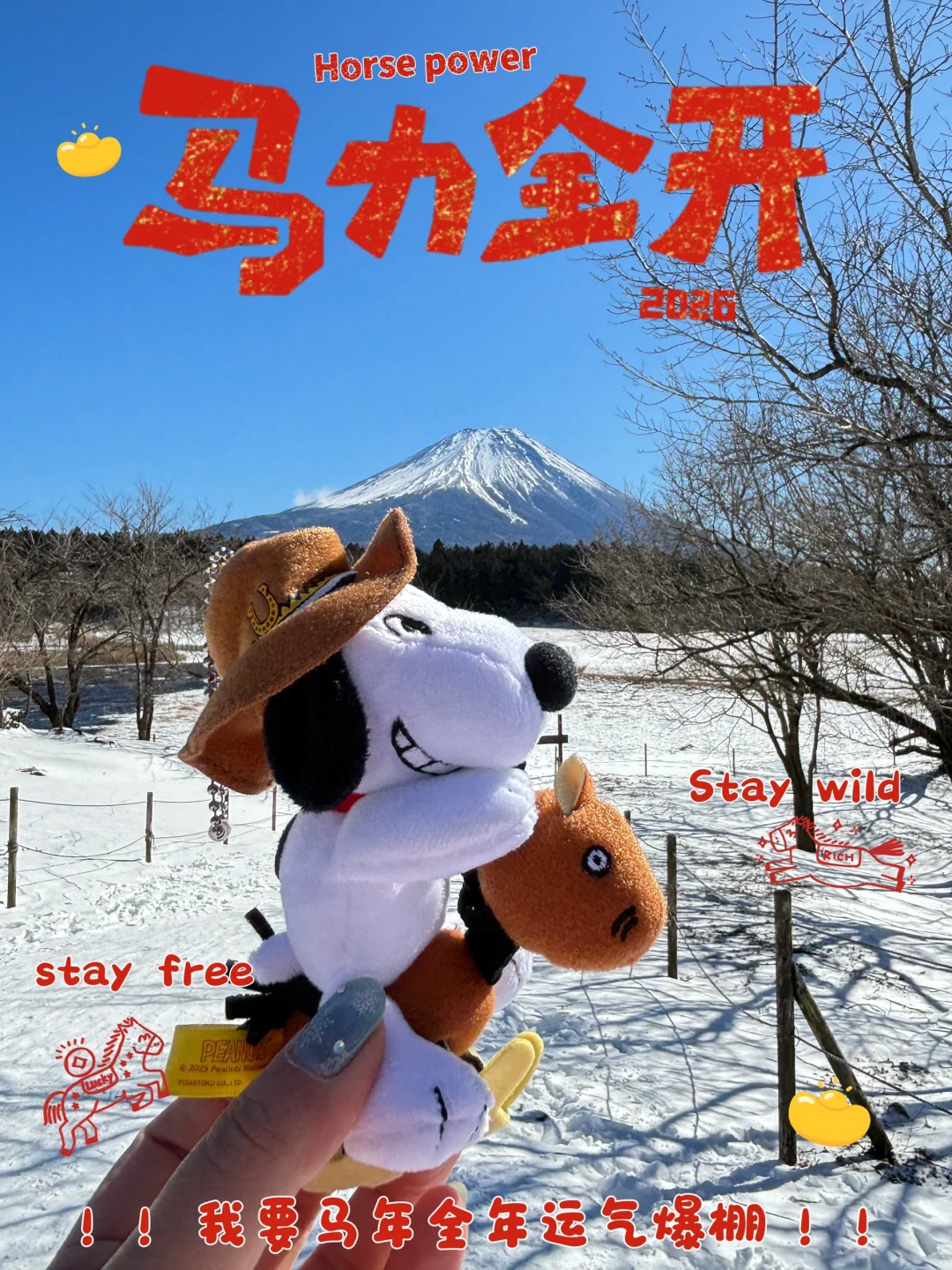 Snoopy御马飞腾，祝大家新春快乐！