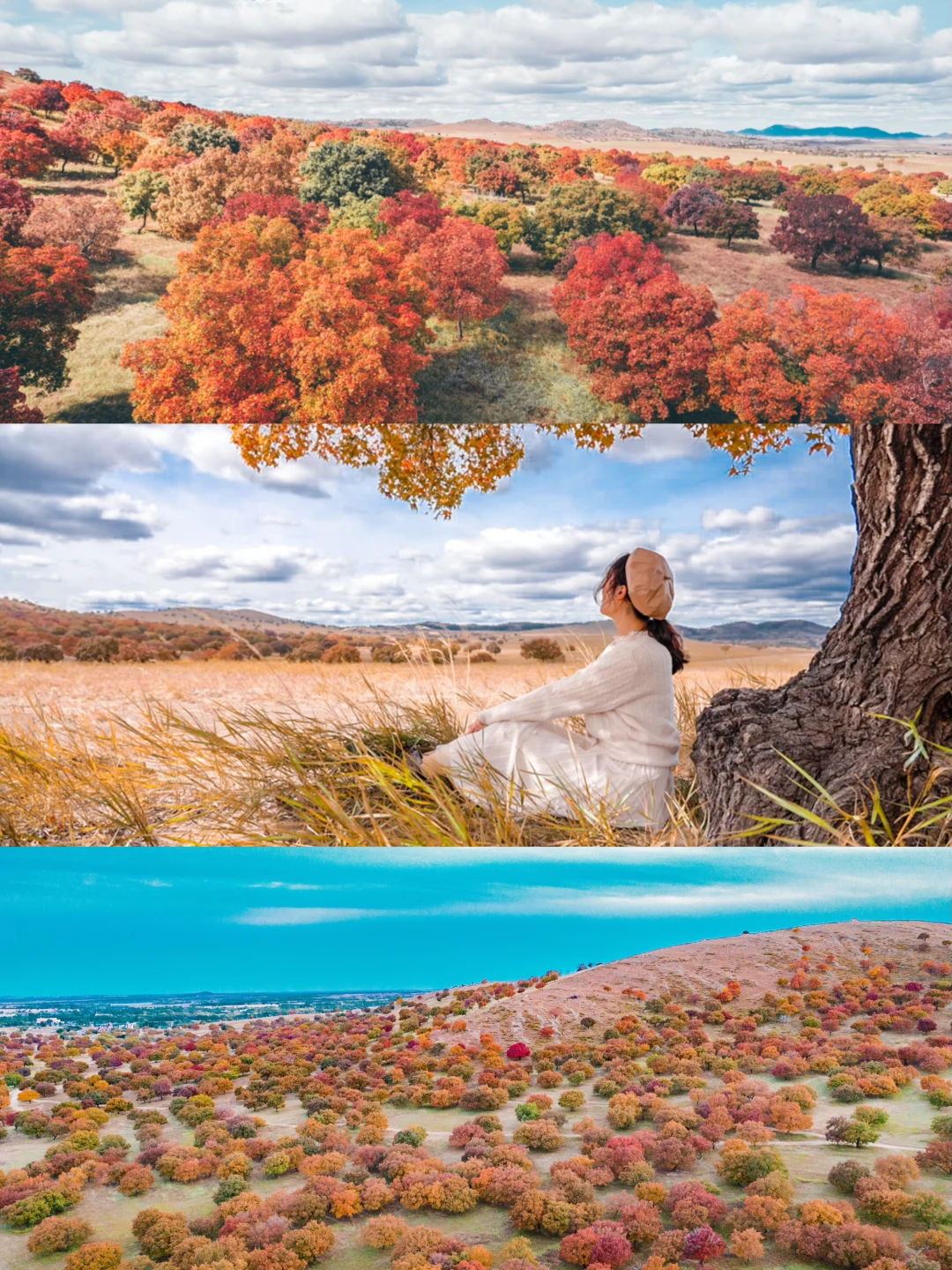 被低估的宝藏小城 | 兴安盟秋季旅行攻略